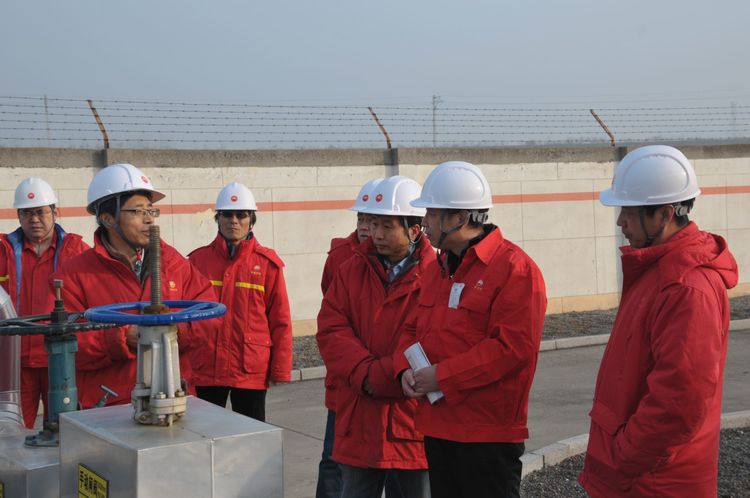 《成品油質(zhì)量流量計(jì)國產(chǎn)化及應(yīng)用項(xiàng)目》通過現(xiàn)場驗(yàn)收